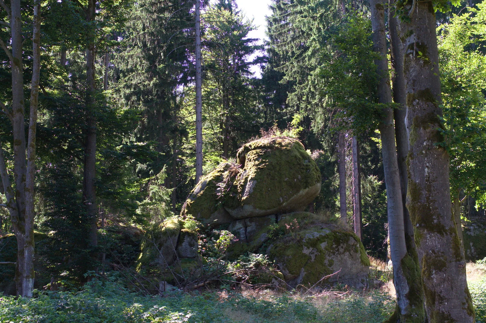 Přechod Českého lesa — sever 2025 6