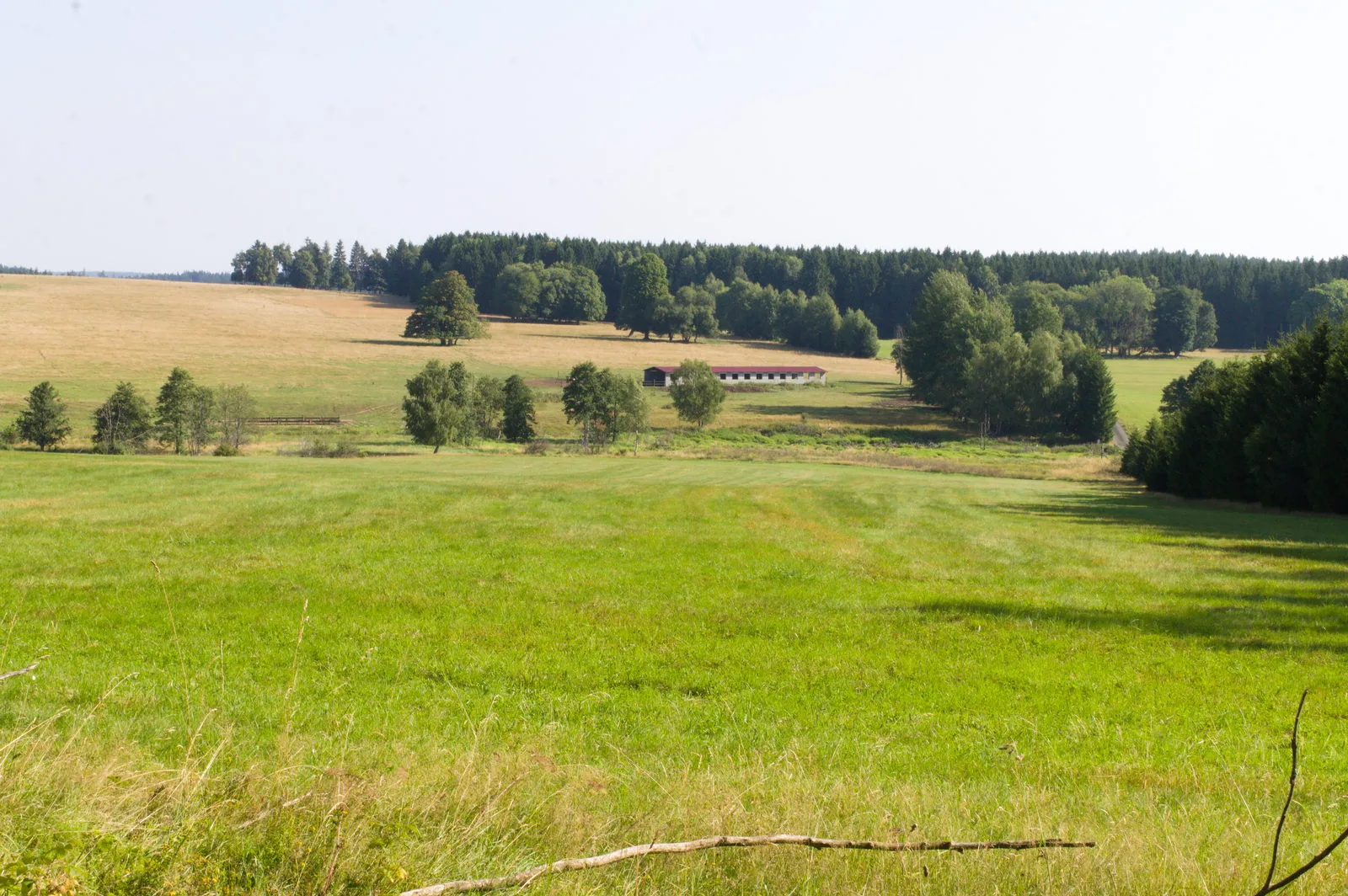 Přechod Českého lesa — sever 2025 18