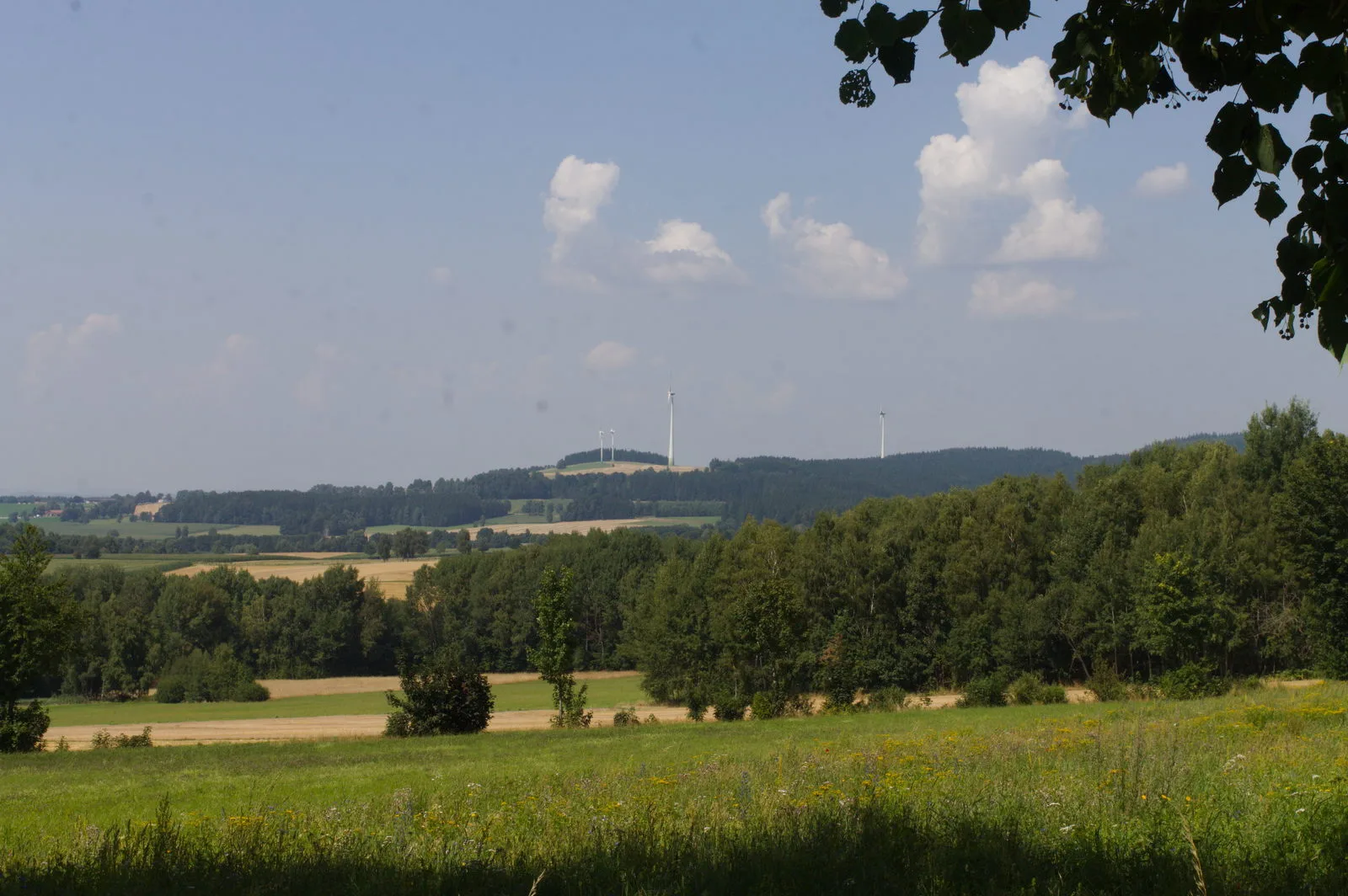 Přechod Českého lesa — sever 2025 21